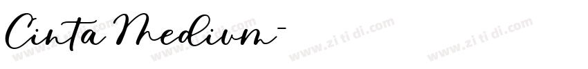 Cinta Medium字体转换